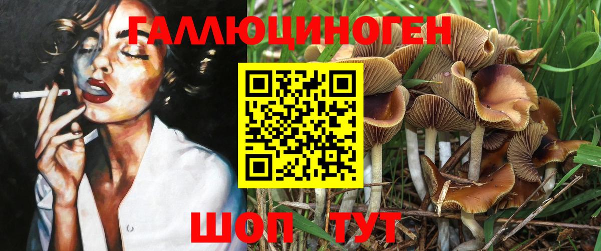 Псилоцибиновые грибы Cubensis  Галлюциногенные грибы прущие грибы  Вход с VPN  Тайшет 